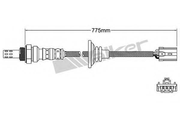 WALKER PRODUCTS 250241020 Лямбда-зонд