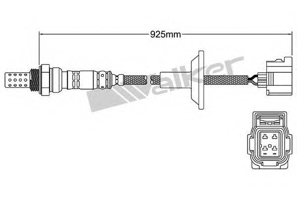 WALKER PRODUCTS 25024751 Лямбда-зонд