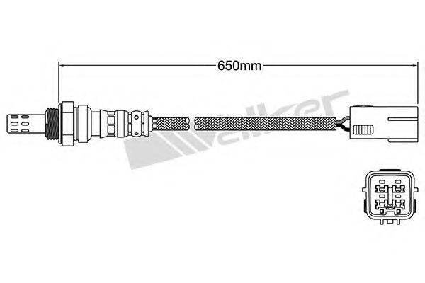 WALKER PRODUCTS 25024769 Лямбда-зонд