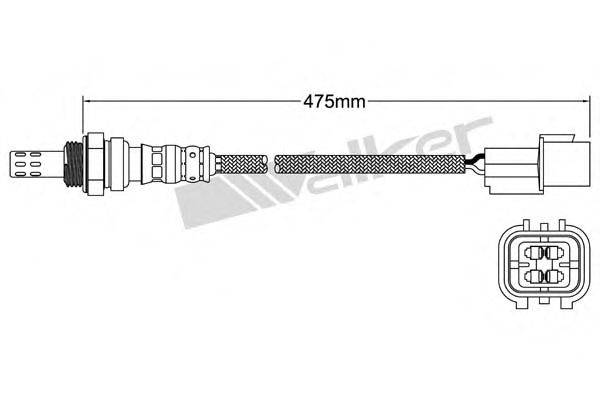 WALKER PRODUCTS 25024916 Лямбда-зонд