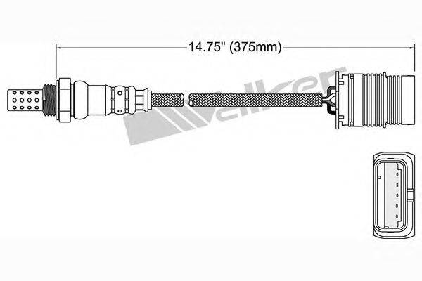 WALKER PRODUCTS 25024997 Лямбда-зонд