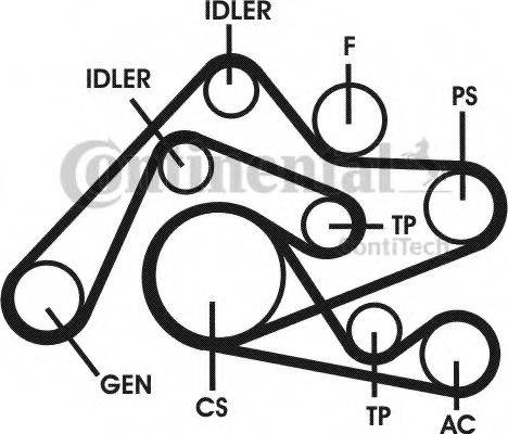 CONTITECH 6PK2404D1 Полікліновий ремінний комплект