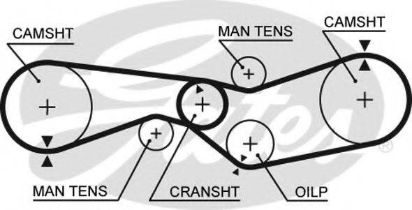 GATES 5009 Ремінь ГРМ