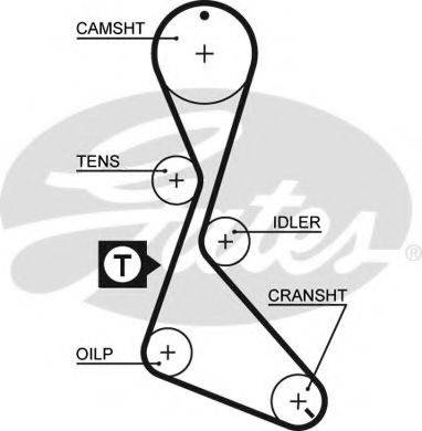 GATES 5056 Ремінь ГРМ