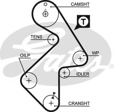 GATES 5202XS Ремінь ГРМ