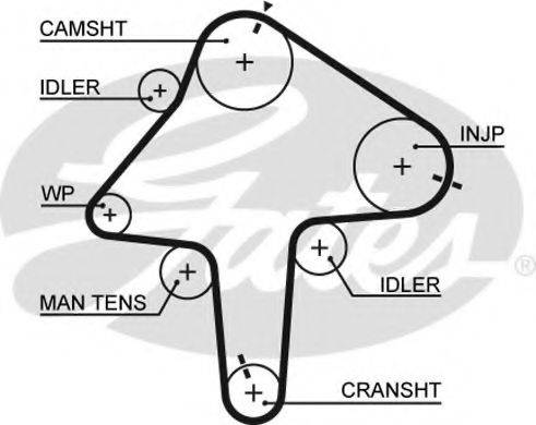 GATES 5482XS Ремінь ГРМ