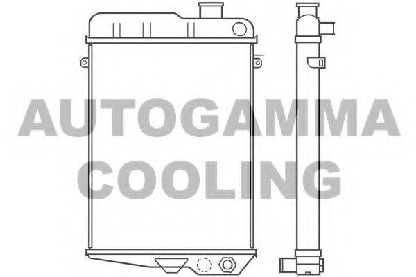AUTOGAMMA 100039 Радіатор, охолодження двигуна