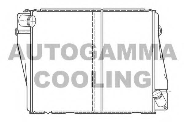 AUTOGAMMA 100081 Радіатор, охолодження двигуна
