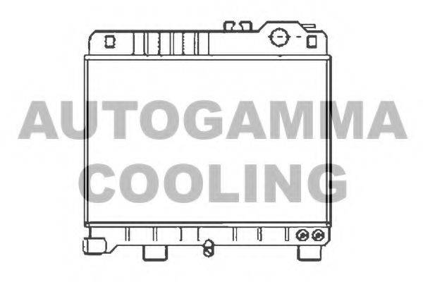 AUTOGAMMA 100086 Радіатор, охолодження двигуна