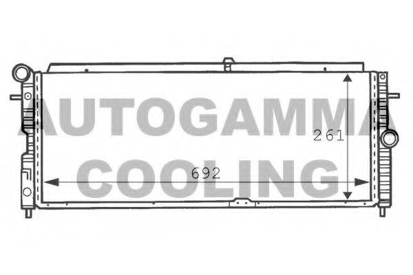 AUTOGAMMA 100707 Радіатор, охолодження двигуна