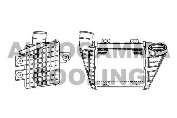AUTOGAMMA 101962 Інтеркулер