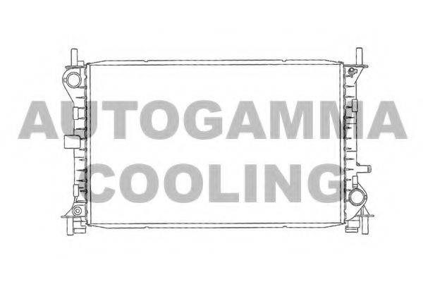 AUTOGAMMA 102073 Радіатор, охолодження двигуна