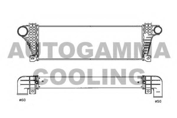 AUTOGAMMA 103811 Інтеркулер