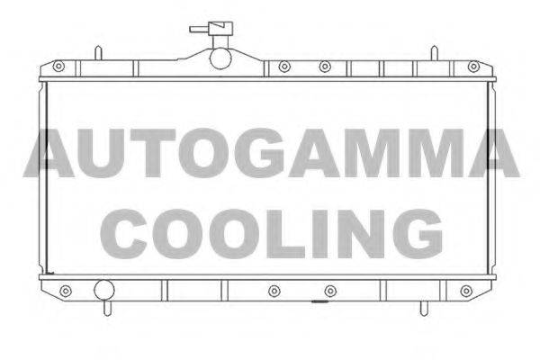 AUTOGAMMA 104106 Радіатор, охолодження двигуна