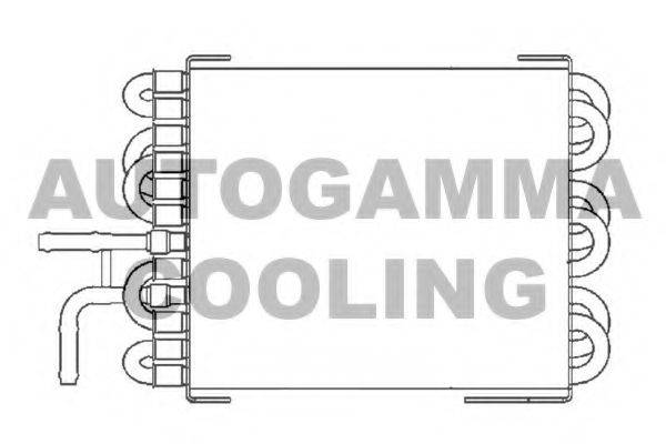 AUTOGAMMA 104177 Радіатор, охолодження двигуна