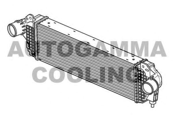 AUTOGAMMA 105950 Інтеркулер