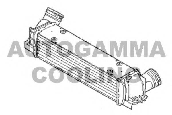 AUTOGAMMA 107334 Інтеркулер