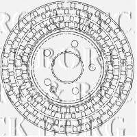 BORG & BECK BBD4488 гальмівний диск