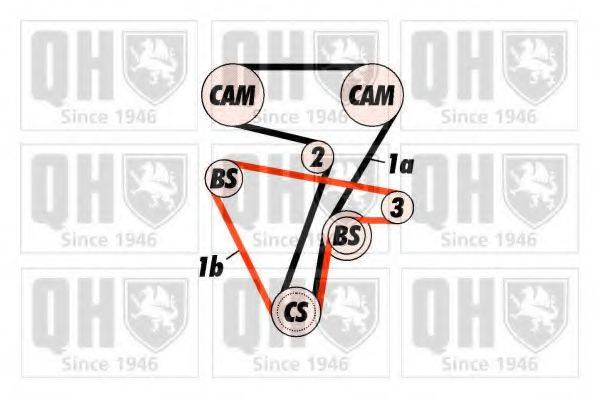 QUINTON HAZELL QBK315 Комплект ременя ГРМ