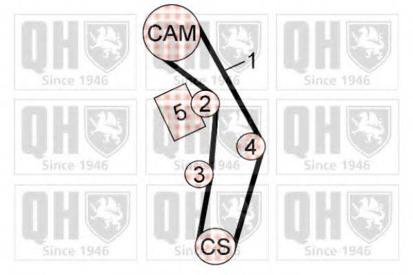 QUINTON HAZELL QBK629 Комплект ременя ГРМ