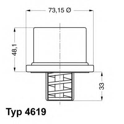 WAHLER 461982 Термостат, охолоджуюча рідина